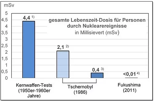 Dosisabschätzung für eine Person in Deutschland