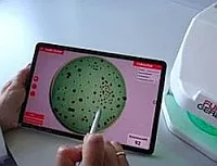 colonies can be marked on the screen