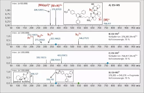 ESI-MS-Spektrum des rohen Synthetik-Peptids 