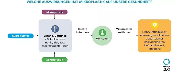 Auswirkung Mikroplastik auf Gesundheit