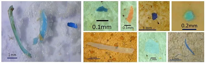 Beispiele von Mikroplastikfunden in Meersalz