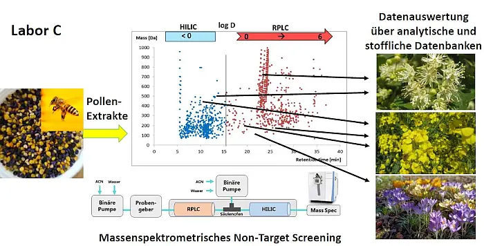 Non-Target Screening mit RPLC-HILIC-HRMS/MS 