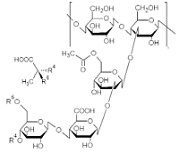 chemische Struktur von Xanthan